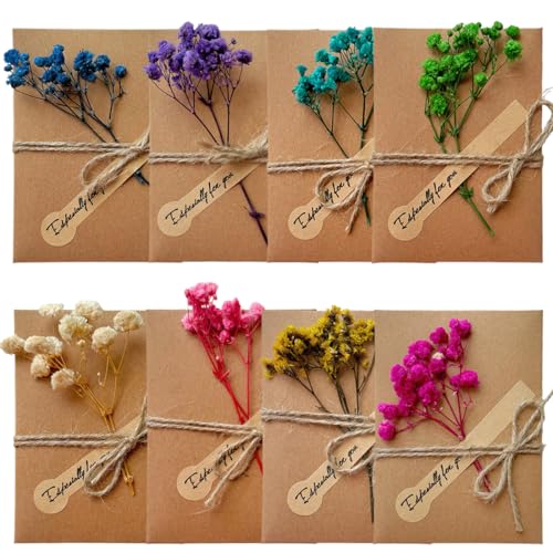 DOKRIN Grußkarten 8 Umschläge für Grußkarten und Postkarten, Vintage-Kraftpapierumschläge für Einladungen und ein Vintage-Geburtstagskartenset mit Trockenblumen aus Kraftpapier von DOKRIN