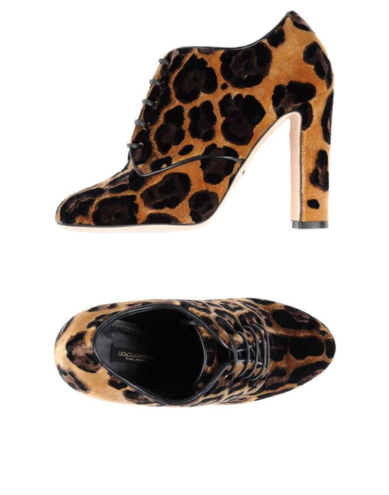 DOLCE&GABBANA Schnürschuh Damen Kamel von DOLCE&GABBANA