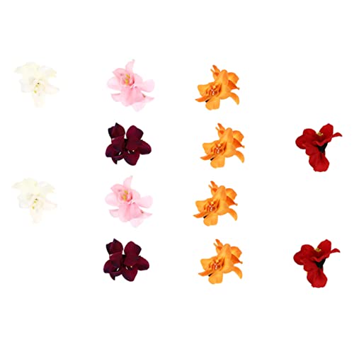 DONFAMDS 12stücke Hawaiian Flower Hair Clips Künstliche Orchideen Haarklammern Für Frauen Für Partys Und Hochzeiten Rutschfest Und Vielseitig Anwendbar Farbenfrohes Haaraccessoire Für DONFAMDS 12stücke Hawaiian Flower Hair Clips Künstliche Orchideen Haarklammern Für Frauen Für Partys Und Hochzeiten Rutschfest Und Vielseitig Anwendbar Farbenfrohes Haaraccessoire Für von DONFAMDS