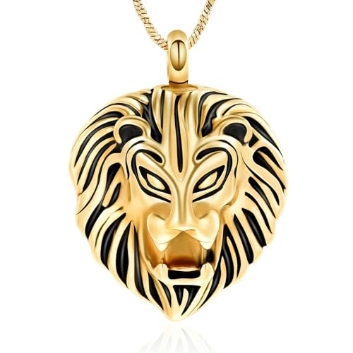 DOTUIARG Anhänger Einäscherung Schmuck 316L Edelstahl Memorial Urne Halskette Geliebte Asche Halter Andenken für Männer Frauen von DOTUIARG