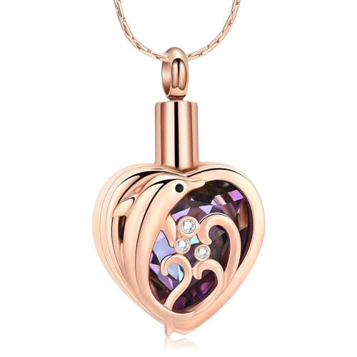 DOTUIARG Delphin Herz Urne Halskette Einäscherung Schmuck für Asche Kristall Memorial Anhänger Geliebte Asche Halter Andenken für Frauen Mädchen von DOTUIARG