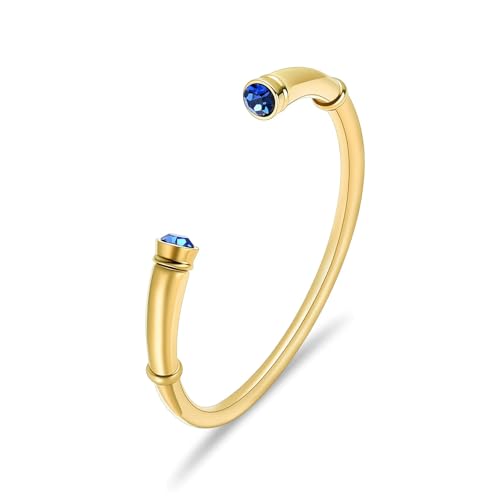 DOTUIARG Einäscherung Armband für Asche für Frauen Memorial Urne Schmuck Intarsien Kristall Manschette Armreifen Armreifen Beerdigung Andenken Geschenk von DOTUIARG