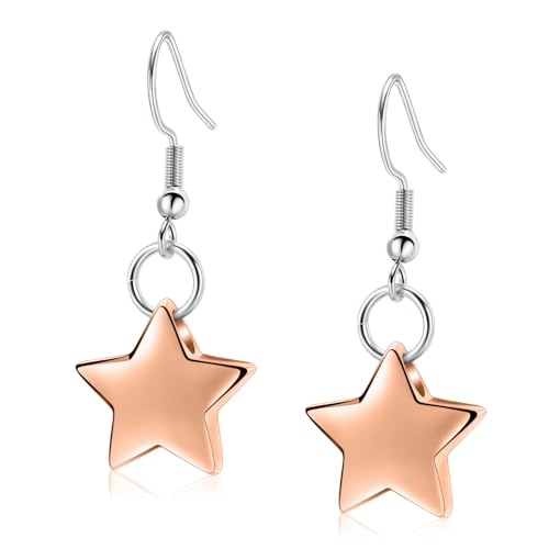 DOTUIARG Einäscherung Ohrringe für Asche Edelstahl Stern Anhänger Gedenkurnen Schmuck Andenken für geliebte Menschen Frauen Mädchen von DOTUIARG