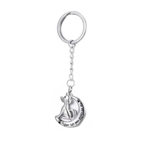 DOTUIARG Einäscherung Schlüsselanhänger Liebe Hund Katze Asche Memorial Andenken Anhänger Edelstahl Urne Schmuck mit Trichter Kit DOTUIARG Einäscherung Schlüsselanhänger Liebe Hund Katze Asche Memorial Andenken Anhänger Edelstahl Urne Schmuck mit Trichter Kit von DOTUIARG