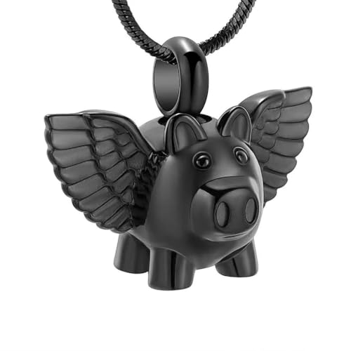 DOTUIARG Einäscherung Schmuck Urne Halskette für Asche Edelstahl Asche Anhänger für Frauen Männer Andenken Denkmal für Schmuck von DOTUIARG