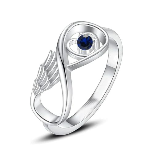 DOTUIARG Flügel Einäscherung Ring für Asche Gedenkurne Schmuck Mensch Haustier Asche Halter Edelstahl eingelegt Kristall Beerdigung Andenken von DOTUIARG
