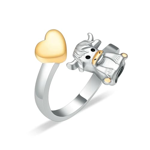 DOTUIARG Herz Einäscherung Ring für Asche Denkmal Mensch Haustier Asche Halter Urnen Hand Ring Beerdigung Andenken Schmuck für Frauen Männer DOTUIARG Herz Einäscherung Ring für Asche Denkmal Mensch Haustier Asche Halter Urnen Hand Ring Beerdigung Andenken Schmuck für Frauen Männer von DOTUIARG