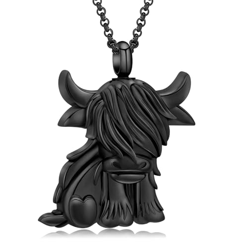 DOTUIARG Urne Halskette für Asche Einäscherung Schmuck Edelstahl Esche Anhänger Andenken Memorial Urne Schmuck für Frauen Männer von DOTUIARG