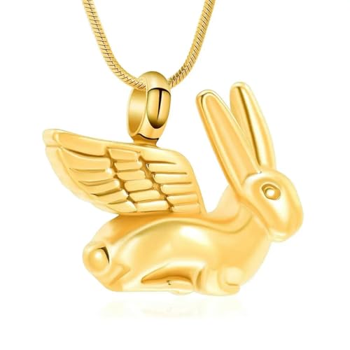 DOTUIARG Urne Halskette für Asche Hasen Einäscherung Schmuck für Frauen Männer Edelstahl Asche Anhänger Andenken Halskette Gedenkschmuck von DOTUIARG