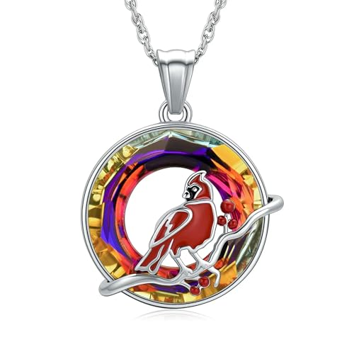 DOTUIARG Urne Halskette für Asche Ring Einäscherung Schmuck Kristall Asche Anhänger Andenken Halskette Gedenkschmuck für Frauen Männer von DOTUIARG