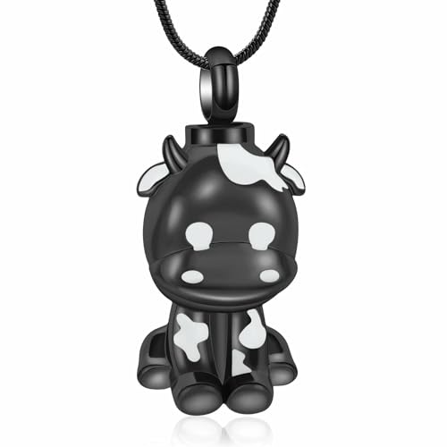 DOTUIARG Urne Halskette für Asche für Frauen Männer Asche Andenken Memorial Einäscherung Schmuck von DOTUIARG