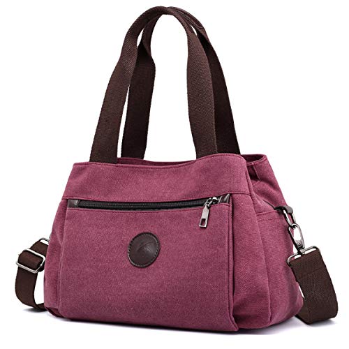 DOURR Hobo Handtaschen Canvas Crossbody Tasche für Frauen Multi Fächer Tote Geldbörse Taschen, Lila Kaffee, Medium von DOURR