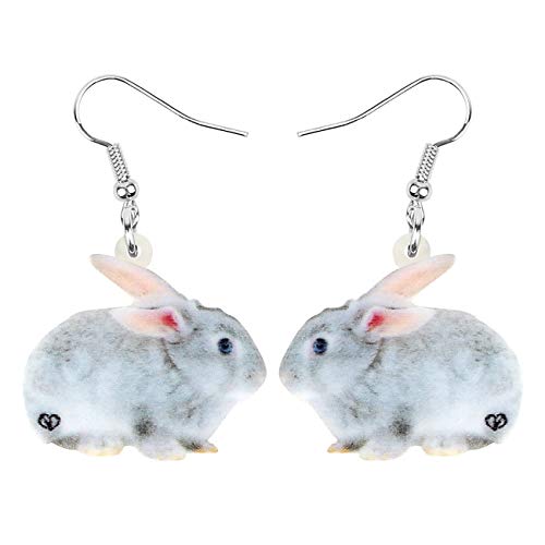 DOWAY Cute Ostereier Kaninchen Ohrringe Acryl Osterhase Dangle Schmuck Geschenke für Damen Mädchen lustig Ostern Deko (Coin) von DOWAY