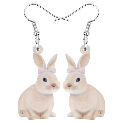 DOWAY Cute Ostereier Kaninchen Ohrringe Acryl Osterhase Dangle Schmuck Geschenke für Damen Mädchen lustig Ostern Deko (Rosa B) von DOWAY