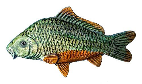 Karpfen Gürtelschnalle mit Geschenkbox von DRAGON DESIGNS TANSIDE LTD.