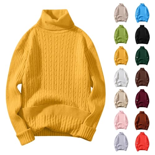 DRALOFAO Unterziehrolli Herren, Rollkragenpullover Herren Schwarz Strickpullover - Zopfmuster Winterpullover Männer Warm Rollkragenpulli Langarm Rollkragenshirt Roll Neck Pullover Sweater von DRALOFAO