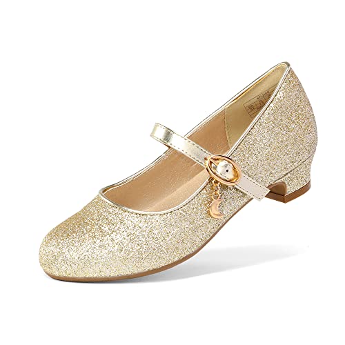 DREAM PAIRS Ballerinas Mädchen Mary Jane Flache Schuhe Ballerinas Prinzessin Schuhe Kommunionschuhe Schulschuhe Gold 29 (EUR) KFL219-E von DREAM PAIRS