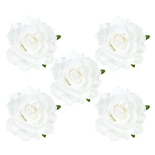 DRESHOW 5 Stücke Blume Haarspange Haarclip Blume Mehrfarbig Rosen Haarnadeln Haarschmuck für Mädchen Damen Party Strand Hochzeit Tänzerin von DRESHOW