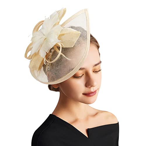 DRESHOW Fascinator Hüte für Damen Pillbox Hut mit Schleier Stirnband und Einer Gegabelten Clip Tea Party Kopfbedeckung von DRESHOW