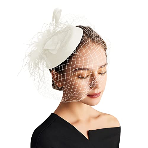DRESHOW Fascinator Hüte für Damen Pillbox Hut mit Schleier Stirnband und Einer Gegabelten Clip Tea Party Kopfbedeckung von DRESHOW