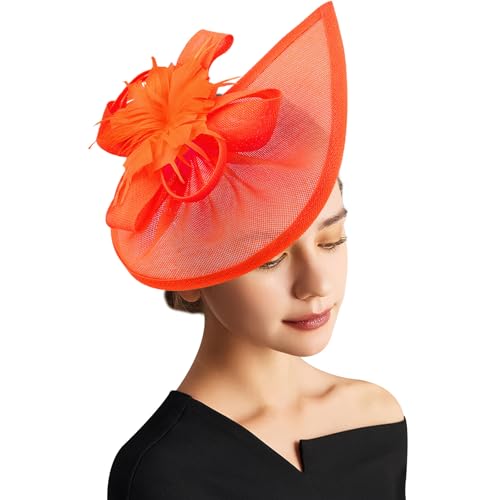 DRESHOW Fascinator Hüte für Damen Pillbox Hut mit Schleier Stirnband und Einer Gegabelten Clip Tea Party Kopfbedeckung von DRESHOW