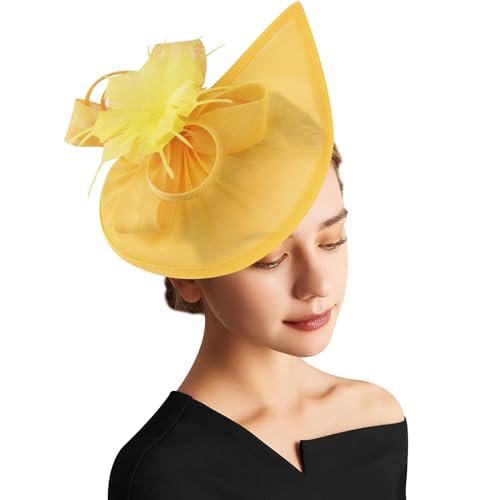 DRESHOW Fascinator Hüte für Damen Pillbox Hut mit Schleier Stirnband und Einer Gegabelten Clip Tea Party Kopfbedeckung von DRESHOW