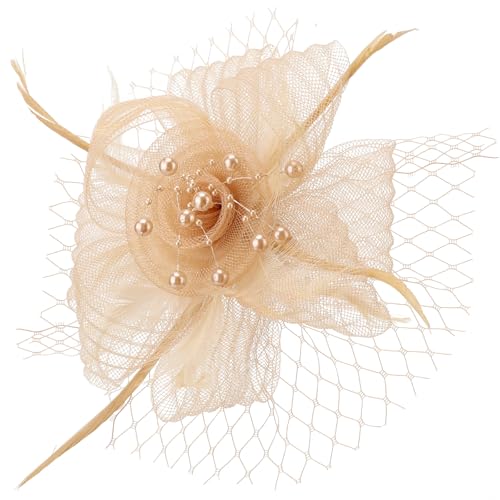 DRESHOW Fascinator Hüte für Damen Pillbox Hut mit Schleier und Gegabelten Clip Cocktail Tea Party Kopfbedeckung von DRESHOW