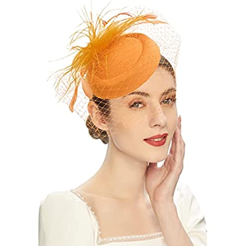 DRESHOW Fascinator Hüte für Frauen Pillbox Hut mit Schleier Stirnband und Einer Gegabelten Clip Tea Party Kopfbedeckung von DRESHOW