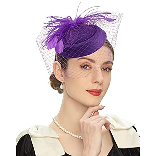 DRESHOW Fascinator Hüte für Frauen Pillbox Hut mit Schleier Stirnband und Einer Gegabelten Clip Tea Party Kopfbedeckung von DRESHOW