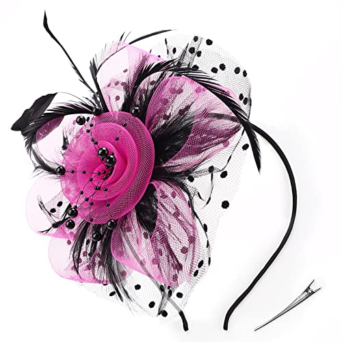 DRESHOW Fascinators Hut Blume Mesh Bänder Federn auf einem Stirnband und Einem Geteilten Clip Cocktail Tea Party Headwear für Mädchen und Damen von DRESHOW