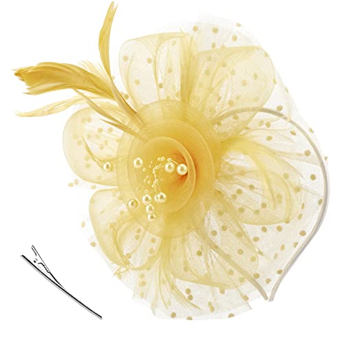 DRESHOW Fascinators Hut Blume Mesh Bänder Federn auf einem Stirnband und Einem Geteilten Clip Cocktail Tea Party Headwear für Mädchen und Damen von DRESHOW