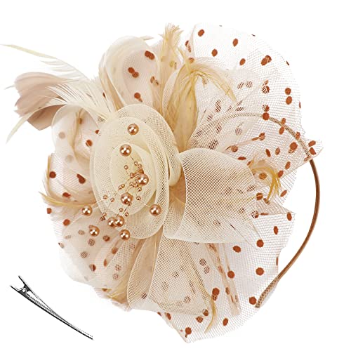 DRESHOW Fascinators Hut Blume Mesh Bänder Federn auf einem Stirnband und Einem Geteilten Clip Cocktail Tea Party Headwear für Mädchen und Damen von DRESHOW