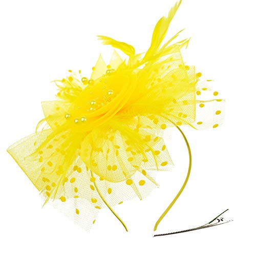 DRESHOW Fascinators Hut Blume Mesh Bänder Federn auf einem Stirnband und Einem Geteilten Clip Cocktail Tea Party Headwear für Mädchen und Damen von DRESHOW