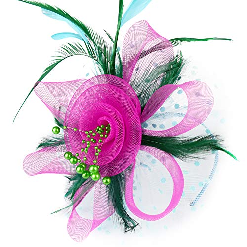 DRESHOW Fascinators Hut Blume Mesh Bänder Federn auf einem Stirnband und Einem Geteilten Clip Cocktail Tea Party Headwear für Mädchen und Damen von DRESHOW