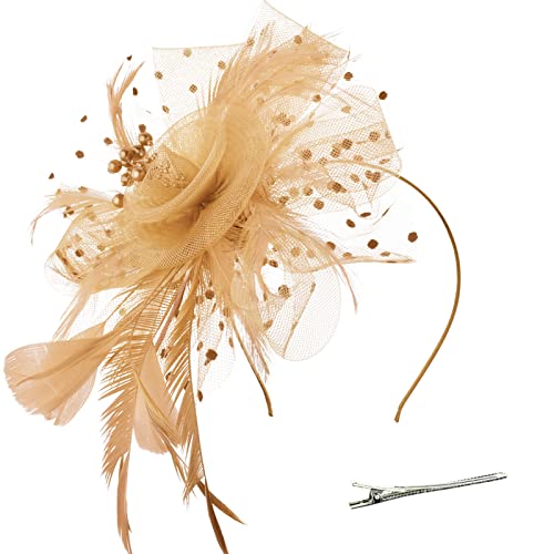 DRESHOW Fascinators Hut Blume Mesh Bänder Federn auf einem Stirnband und Einem Geteilten Clip Cocktail Tea Party Headwear für Mädchen und Damen von DRESHOW