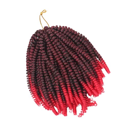 DRESSOOS 1 Stück Kleine Frühlingsgeflecht Dreadlocks Geflecht Perücken Häkelnadeln Für Dreadlocks Afrikanische Lockige Perücke Geflochtene Perücke Lockiges Echthaar Perücke Häkelzöpfe von DRESSOOS