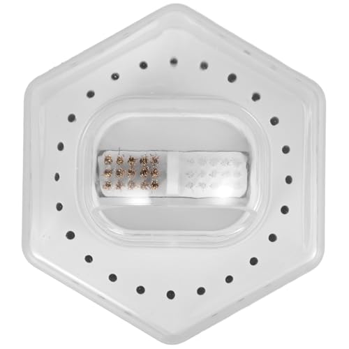 DRESSOOS Aufbewahrung Des Nagellackierkopfes Kleiderboxen Aufbewahrung Bohrständer Reinigungsbürste Klammer Bh Bügellos Halterung Halter Für Nagelschleifkopf Nagelkunstzubehör Plastik Weiß von DRESSOOS