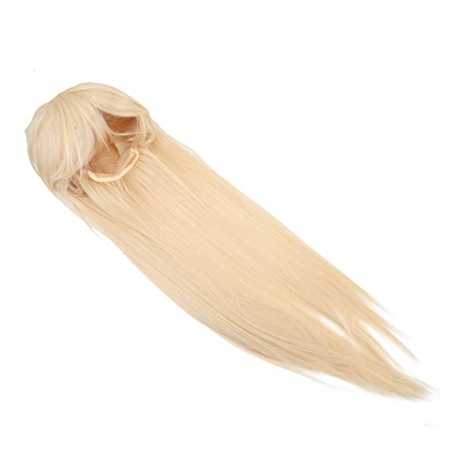 DRESSOOS Verstellbares Netz-stirnband Gerade Perücke Für Damen Modische Perücke Für Partys Cosplay Bühne Und Den Alltag von DRESSOOS