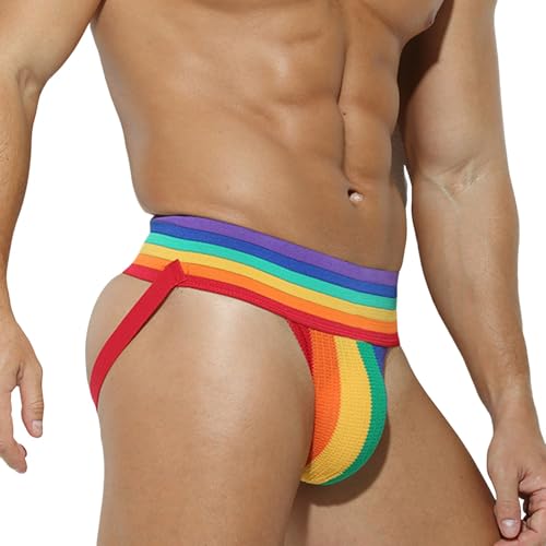 DUHENWU Herren Regenbogen Jockstrap Stretch Unterwäsche Gay Pride Rainbow Flag Tangaslip Atmungsaktiv Sportunterwäsche Athletic Supporters Unterhose Niedrige Taille Slips Men's Underwear von DUHENWU