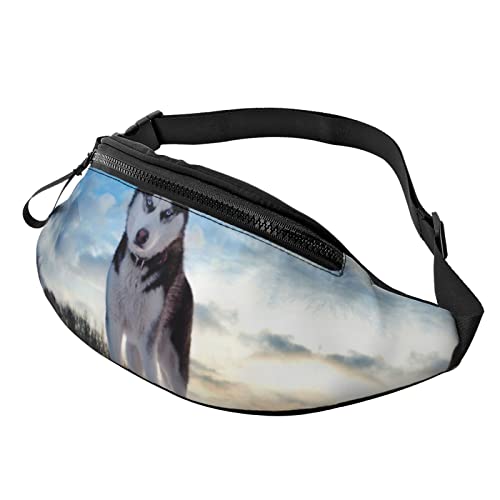 Gay Pride Regenbogen-Bauchtasche für Herren und Damen, verstellbare Träger für Freizeit, Reisen, Wandern, Laufen, Outdoor-Sport, Hunde, Einheitsgröße von DULZAN