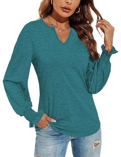 DUOEASE Basic Langarmshirt Damen Locker Tshirt V-Ausschnitt Pullover Damen Elegant Herbst Hellblau-S von DUOEASE