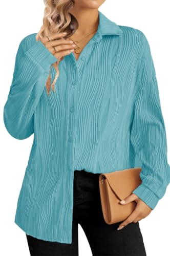 DUOEASE Bluse Damen Langarm Cardigan mit V-Ausschnitt Strukturiertes Oberteile Blusen locker Hemdjacke Shirts Lässiges Hemdbluse（Hellblau,XL von DUOEASE