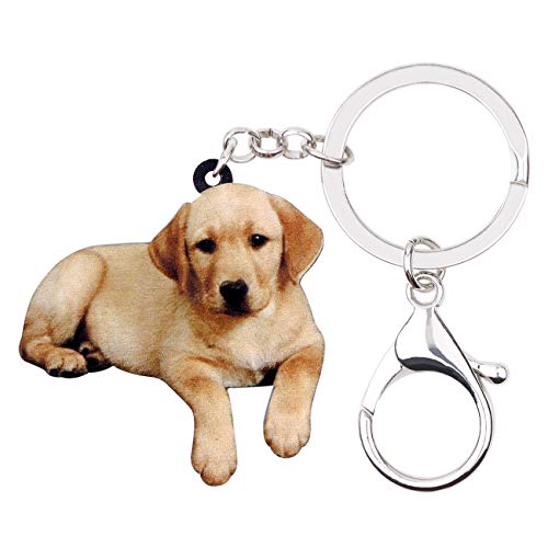 DUOWEI Acryl Beige Labrador Hund Schlüsselanhänger Süß Puppy Haustiers Schlüsselring Handtasche Geldbörse für Frauen Teens Mädchen Geschenke (Beige) von DUOWEI