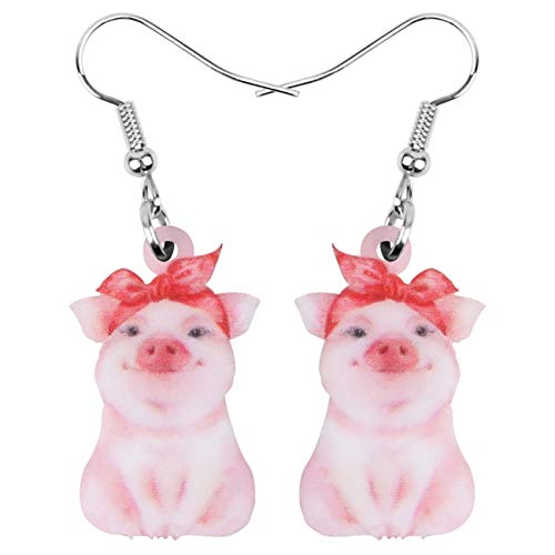 DUOWEI Cute Acryl Pinke Schwein Ohrringe Pig Schmuck Schweine Geschenk Für Damen Frauen Mädchen Schweinefans (Rosa) von DUOWEI