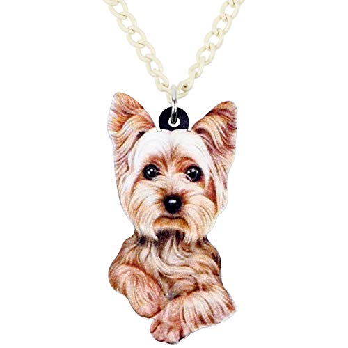 DUOWEI Acryl Süß Braunen Korb Yorkshire Terrier Hund Halskette Haustier Hund Anhänger Sammlung Schmuck Geschenke für Frauen Kinder Mädchen (Braun/Weiß) von DUOWEI