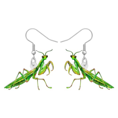DUOWEI Acrylic Süß Brauner Teufel Pferd Gottesanbeterin Ohrringe Insekten Schmuck für Frauen Mädchen Teens Lustige Geschenke (Gottesanbeterin B) von DUOWEI