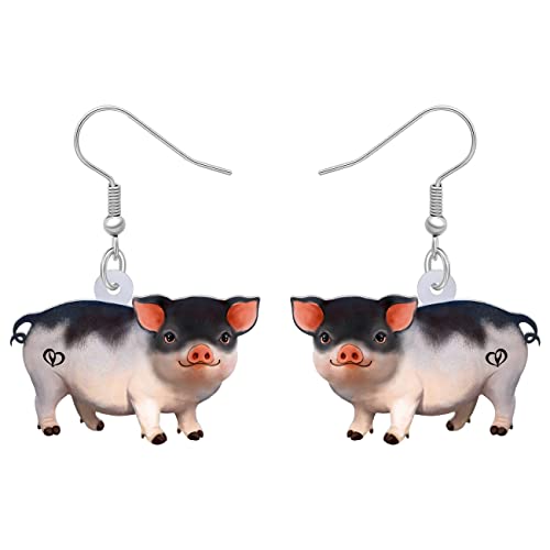 DUOWEI Cute Acryl Pinke Schwein Ohrringe Pig Schmuck Schweine Geschenk Für Damen Frauen Mädchen Schweinefans (Grau) von DUOWEI