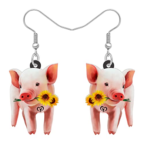 DUOWEI Cute Acryl Pinke Schwein Ohrringe Pig Schmuck Schweine Geschenk Für Damen Frauen Mädchen Schweinefans (Schwein A) von DUOWEI