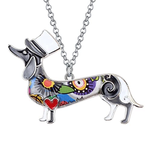 DUOWEI Cute Dackel Geschenke Floral Emaille Dachshund Halskette Anhänger Erinnerungsstück für Frauen Mädchen Hundeliebhaber (Münze) von DUOWEI