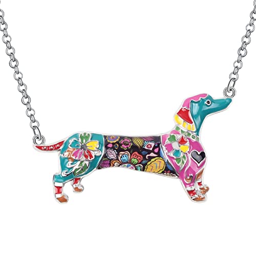 DUOWEI Cute Dackel Geschenke Floral Emaille Dachshund Halskette Anhänger Erinnerungsstück für Frauen Mädchen Hundeliebhaber (Regenbogen) von DUOWEI